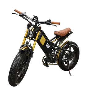 Shelby Power Series E-Bike 