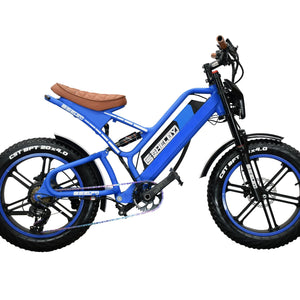 Shelby Signature Blue E-Bike 