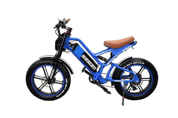 Shelby Blue Mountain E-Bike