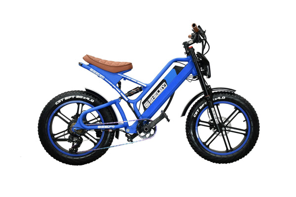 Shelby Blue Mountain E-Bike